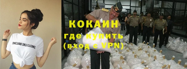 тгк Абаза