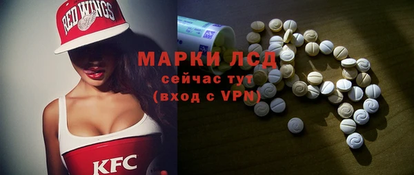 стаф Алзамай