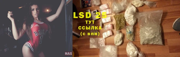 стаф Алзамай