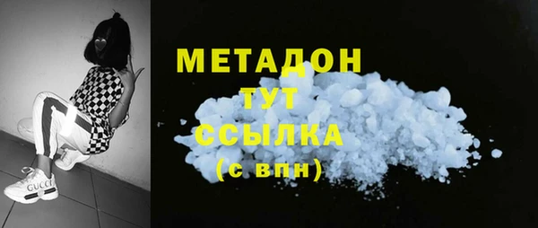 стаф Алзамай