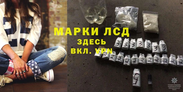 стаф Алзамай