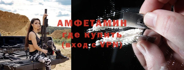стаф Алзамай